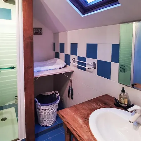 Pet Friendly In Sur Don